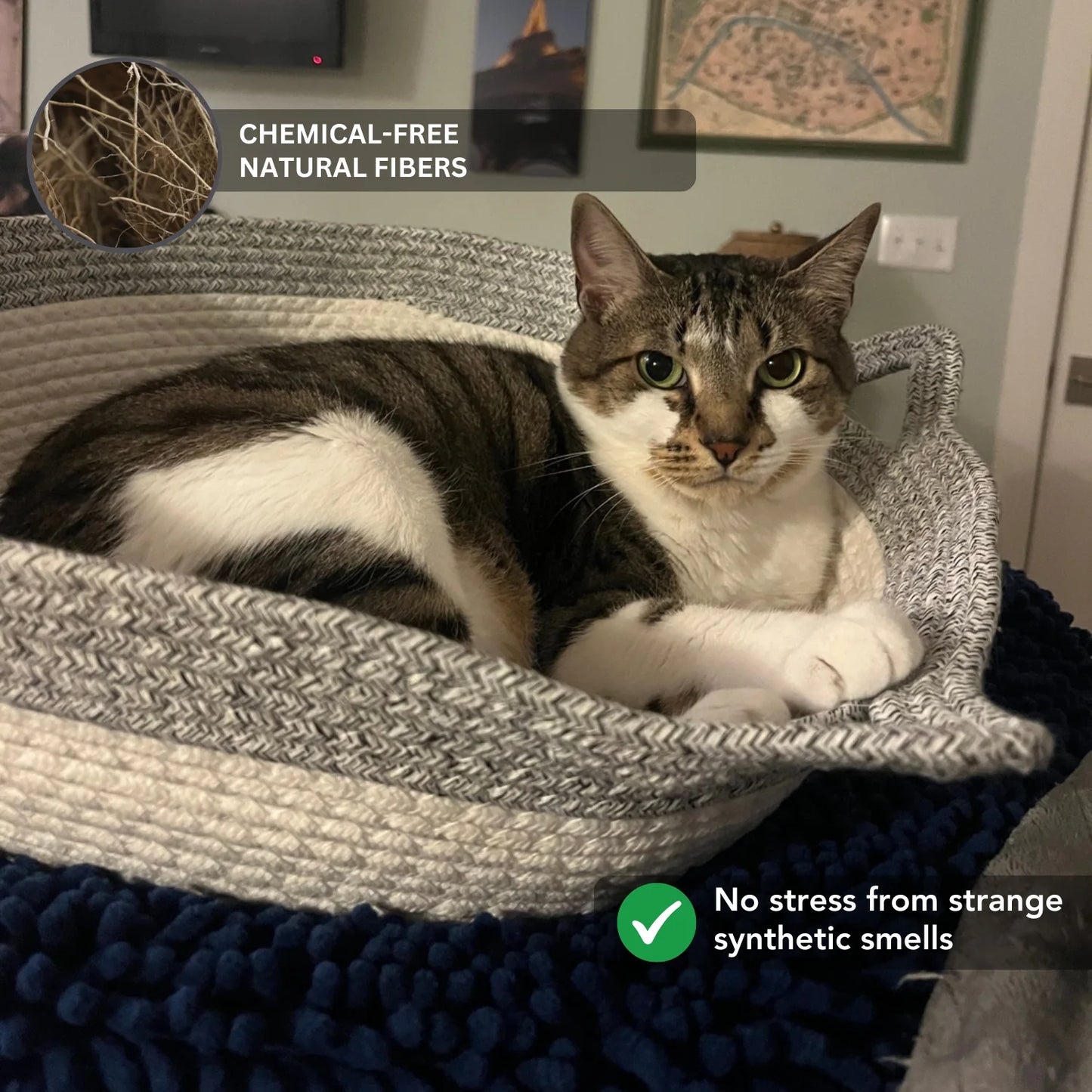 SNUGZ - Instinct Basket